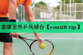 泰康室外乒乓球臺