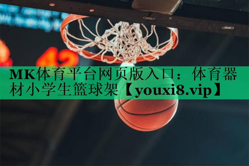 體育器材小學(xué)生籃球架 體育器材小學(xué)生籃球架